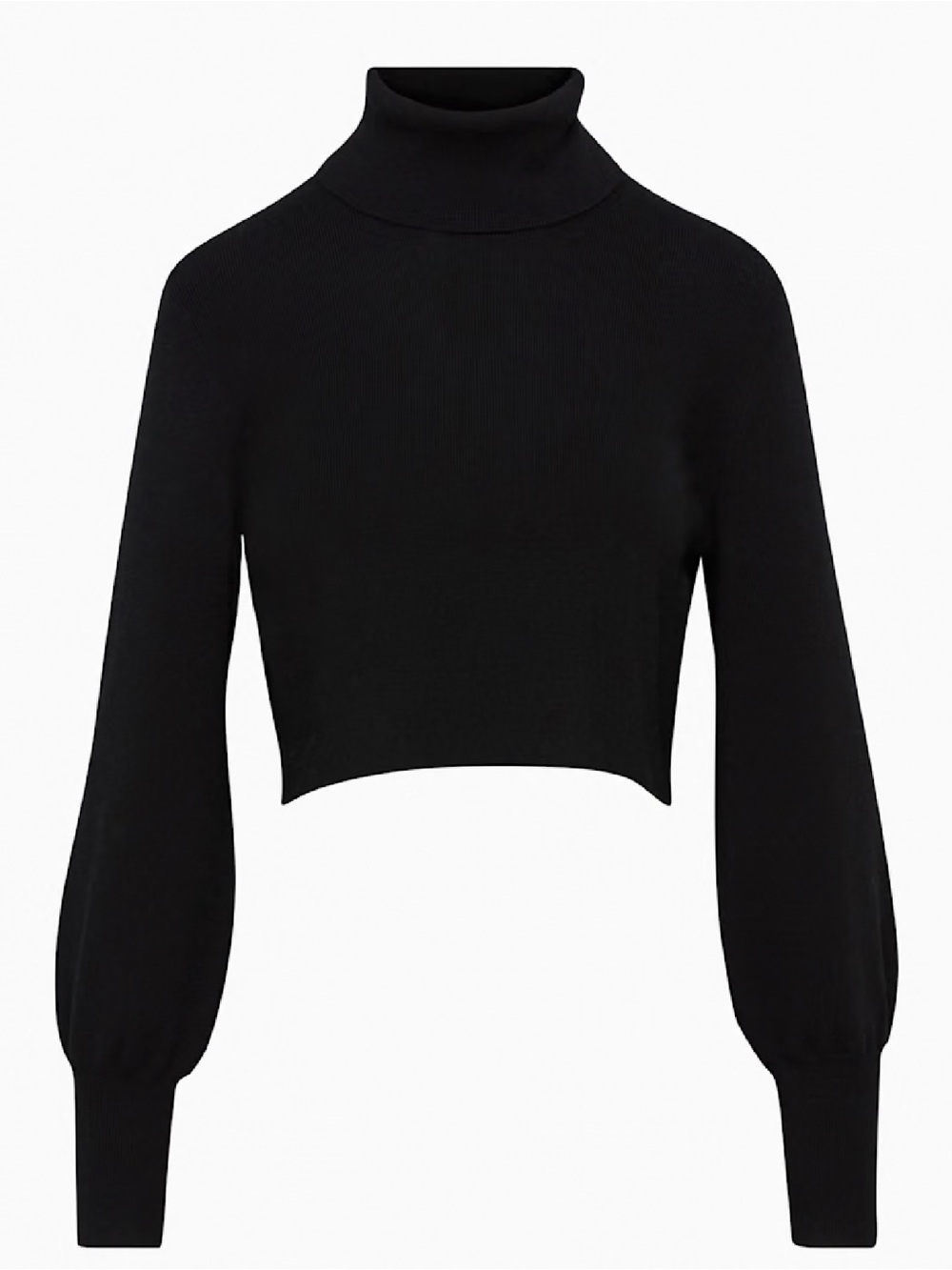 Wilfred Black Rebecca Turtleneck